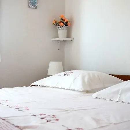 Central House Apartment *