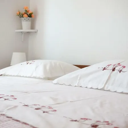 Central House Apartment